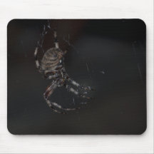 Spider Underside with Flash Mouse Pad