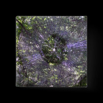 Spider Web-2 buttons