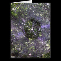 Spider Web-2 cards