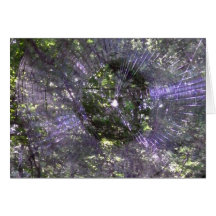 Spider Web-2 Card