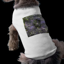 Spider Web-2 pet clothing