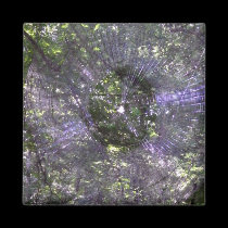 Spider Web-2 magnets
