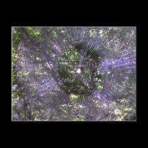 Spider Web-2 postcards