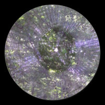 Spider Web-2 stickers