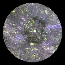 Spider Web-2 stickers