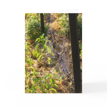 Spider Web and Dew Drops Card (Blank) by SuanSilverTree Spider Web and Dew Drops Card (Blank)