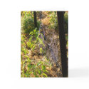 Spider Web and Dew Drops Card (Blank)