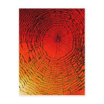 Spider Web Art Post Cards