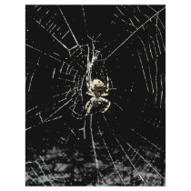 Spider Web at Midnight flyers by HalloweenSpirit Spider Web at Midnight flyers