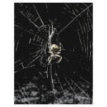 Spider Web at Midnight Personalized Flyer