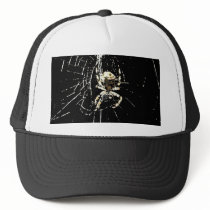 Spider Web at Midnight hats