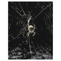 Spider Web at Midnight letterhead by HalloweenSpirit Spider Web at Midnight letterhead