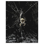 Spider Web at Midnight Custom Letterhead