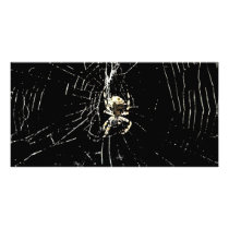 Spider Web at Midnight photo cards