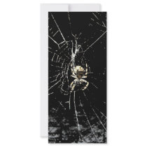 Spider Web at Midnight rack cards by HalloweenSpirit Spider Web at Midnight rack cards