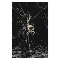 Spider Web at Midnight stationery