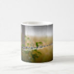 Spider Web/Barbed Wire Fence Mug