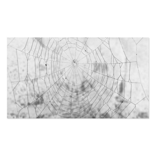 Spider web business card (back side)