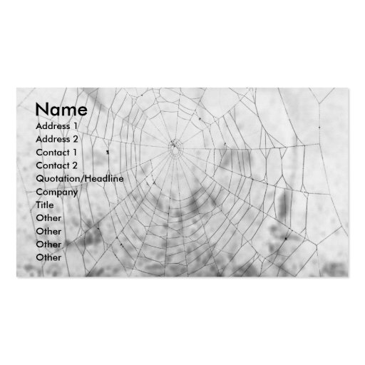 Spider web business card