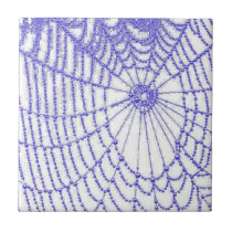 Spider Web Ceramic Tile
