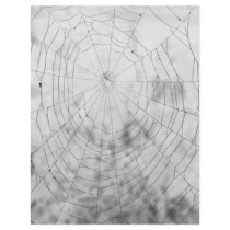 Spider web flyer design