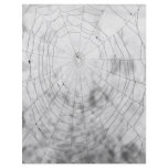 Spider web flyer design