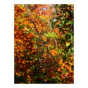 Spider web in the morning dew posters
