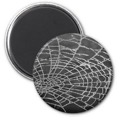 Spider Web Refrigerator Magnet