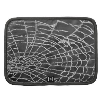 Spider Web rickshaw_folio