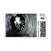  SPIDER WEB postage