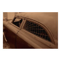Spider Web posters