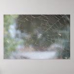 Spider Web posters