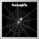Spider Web Poster