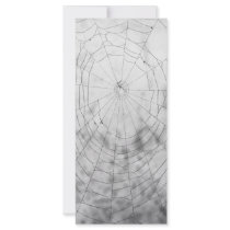 Spider web rack cards