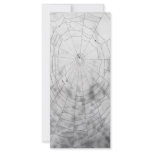 Spider web rack cards