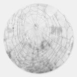 Spider web round sticker