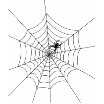 Spider Web t-shirts