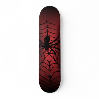 Spider web with spider skateboard by DragonCat
