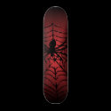 Spider web with spider skateboard