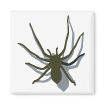 Spider with shadow magnet