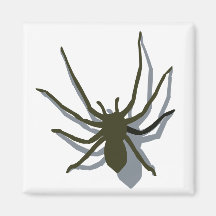 Spider with shadow magnet