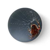 Spiders Bugs Spiderwebs buttons by lifesphere Spiders Bugs Spiderwebs buttons