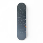 Spiders Bugs Spiderwebs Skateboard Deck