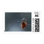Spiders Bugs Spiderwebs Stamp