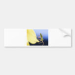 Spiders Insect Bumper Sticker