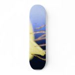 Spiders Insect Skateboard Deck