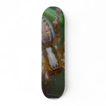 Spiders Insects skateboards