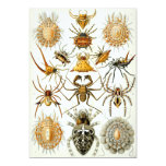 Spiders Invitation