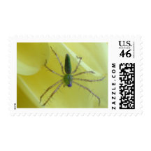 Spiders Postage