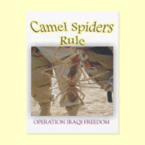 Spiders postcards